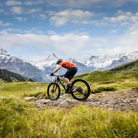 Belvedere Swiss Quality Grindelwald