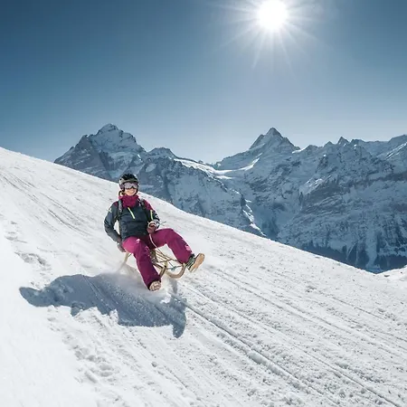 Belvedere Swiss Quality 4*