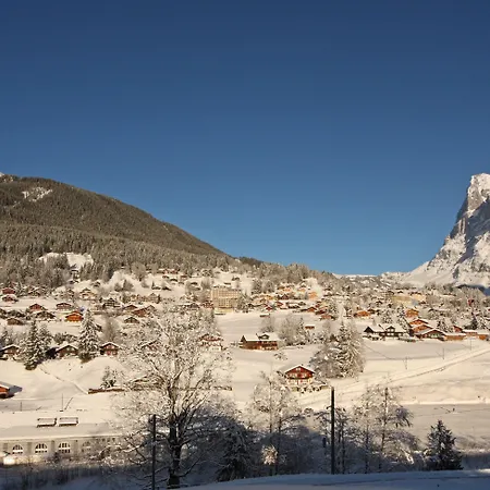 Belvedere Swiss Quality