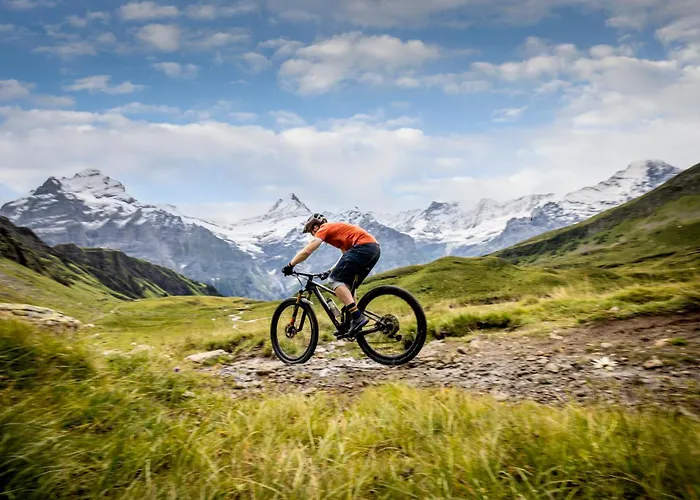 Belvedere Swiss Quality Гриндельвальд