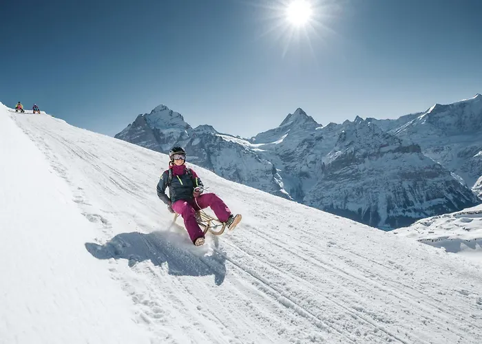 Belvedere Swiss Quality 4*