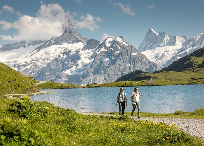 Отель Belvedere Swiss Quality 4*