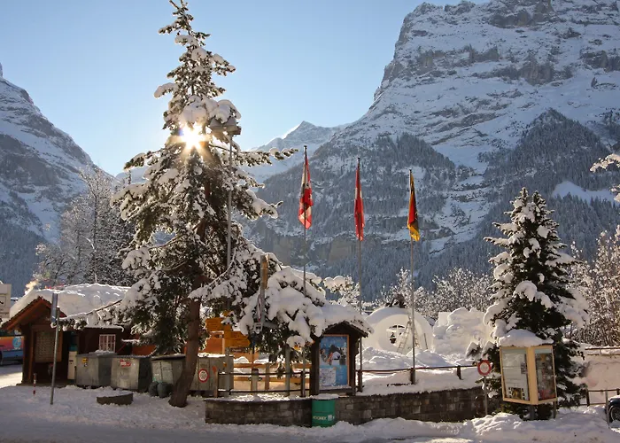 Отель Belvedere Swiss Quality