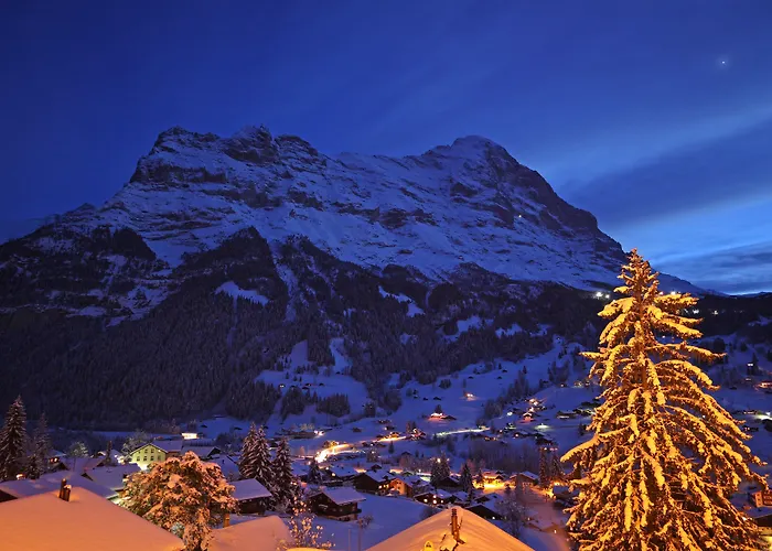 Отель Belvedere Swiss Quality 4*