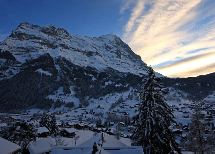 Отель Belvedere Swiss Quality 4*