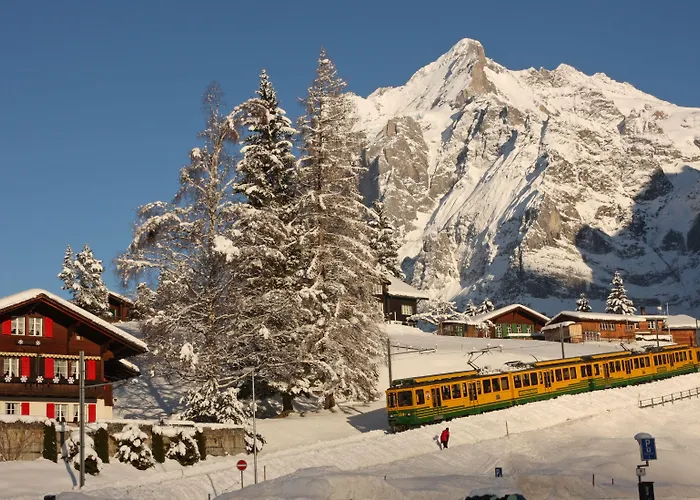 Hotel Belvedere Swiss Quality