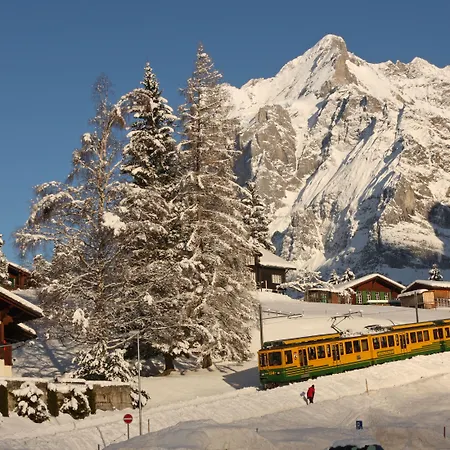 Hotel Belvedere Swiss Quality