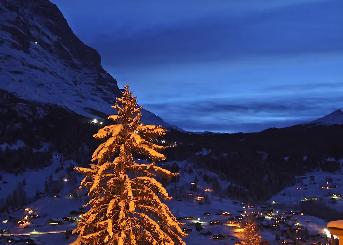Hotel Belvedere Swiss Quality 4*