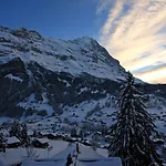 Hotel Belvedere Swiss Quality 4*